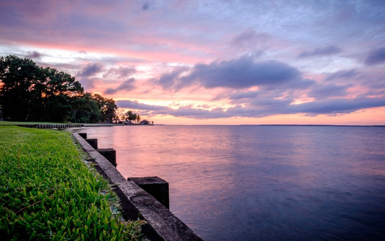 Why You Need to Visit Lake Livingston This Summer