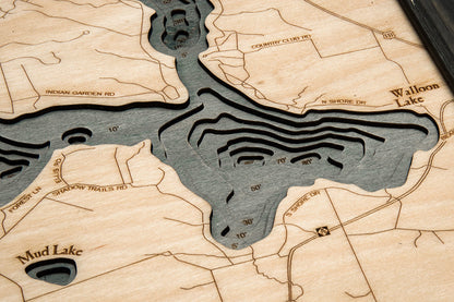 Topography Details on Walloon Lake in Michigan Map 3-D Nautical Wood Chart