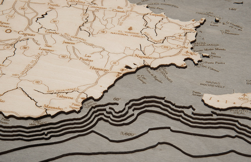 Topography Details of Puerto Rico Wood Map