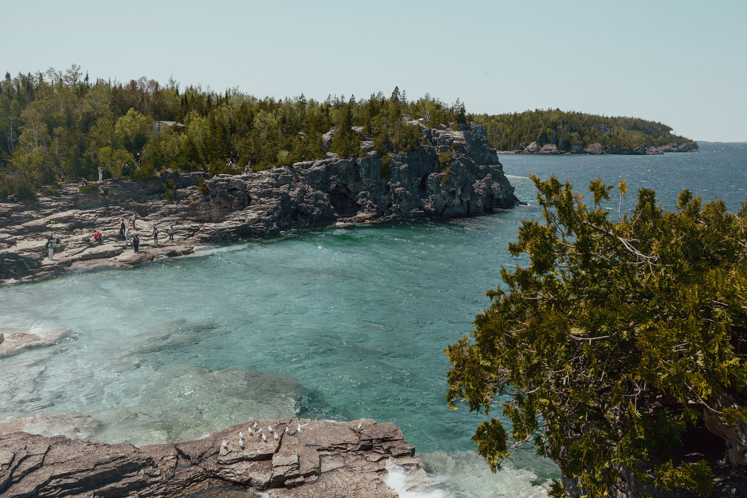 Limestone cliffs and turquoise water on the Georgian Bay shoreline near Tobermory, Ontario