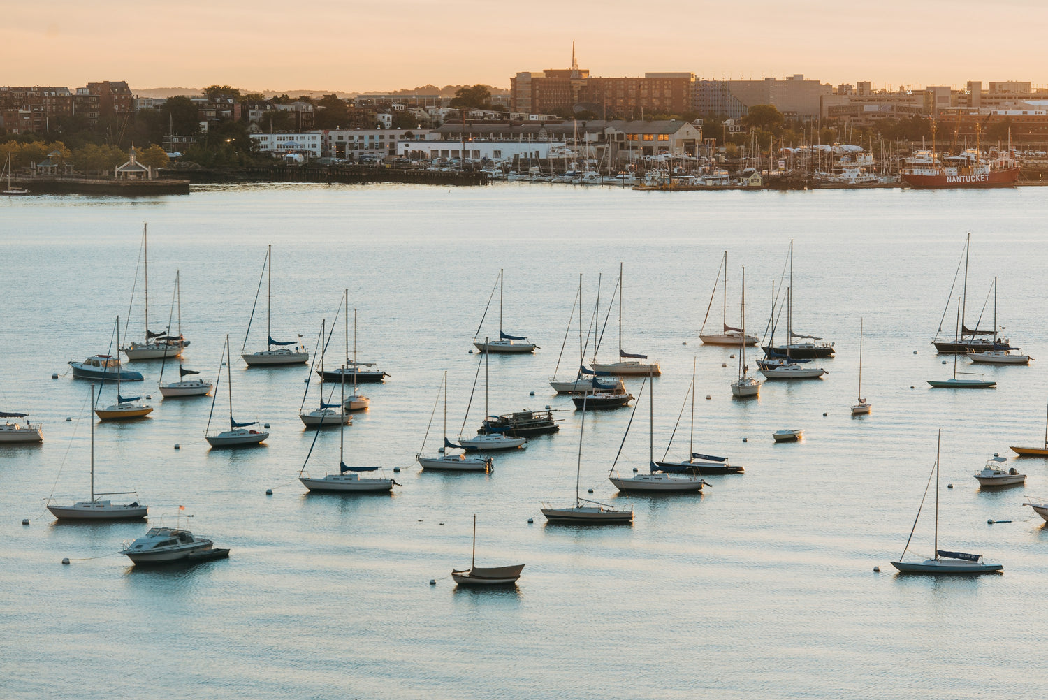 Sailboats moored in Boston Harbor with the city waterfront beyond