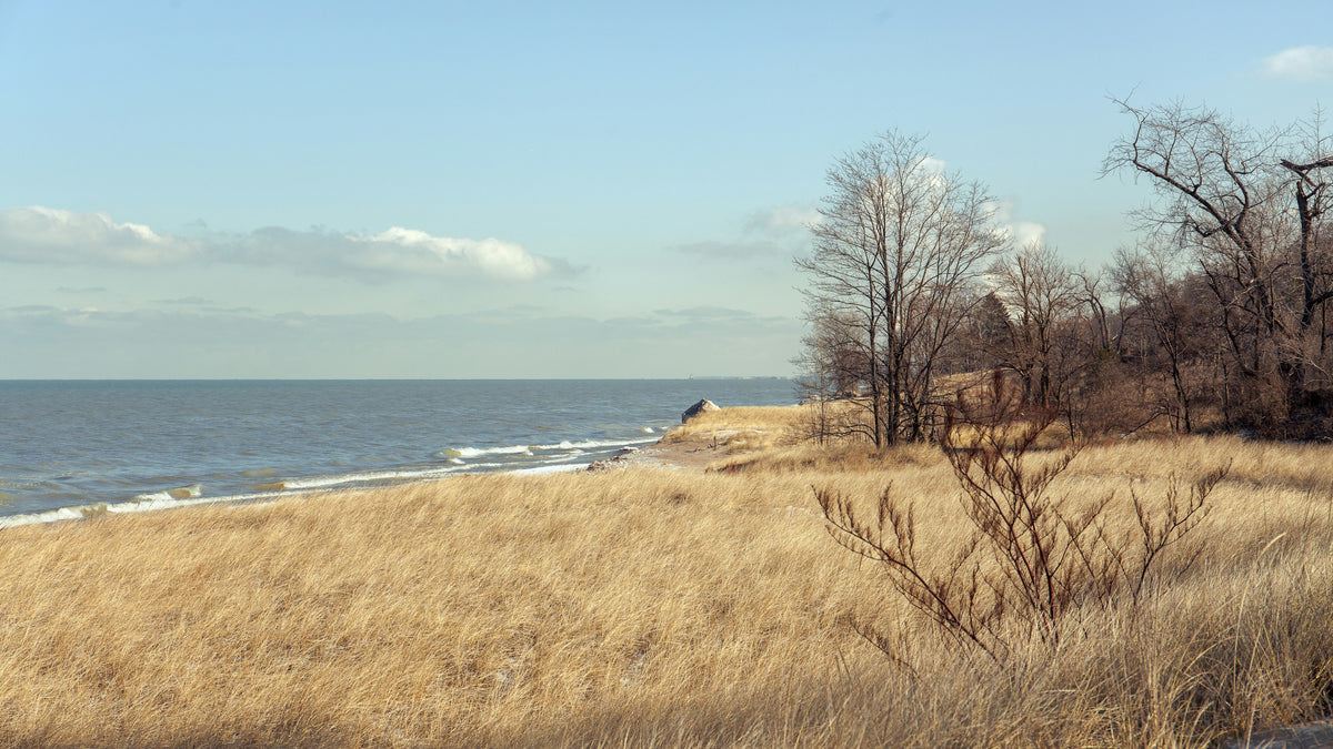 Dune grass and Lake Michigan shoreline at Indiana Dunes National Park
