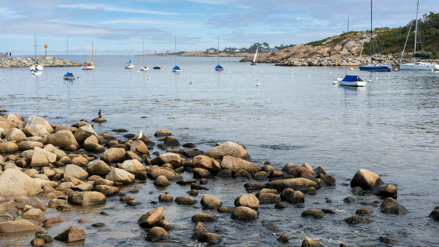 Rocks exposed at low tide in Rockport Harbor, Massachusetts with sailboats moored beyond
