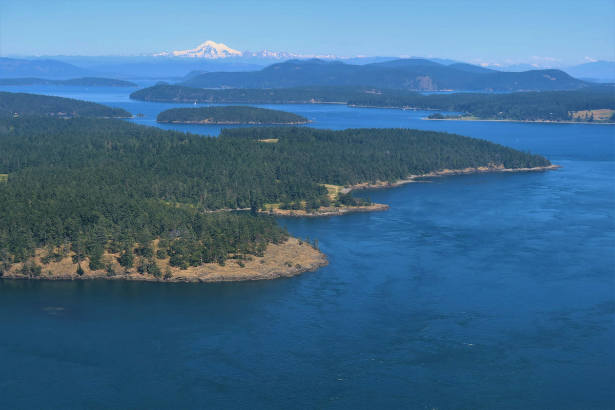 Aerial view of the forested San Juan Islands in the Salish Sea with Mount Baker on the horizon